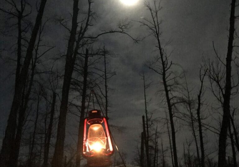A glowing lantern sits in the snow beneath leafless trees at night, lighting the way for a candlelit walk in the park, with a bright full moon shining in the cloudy sky above.