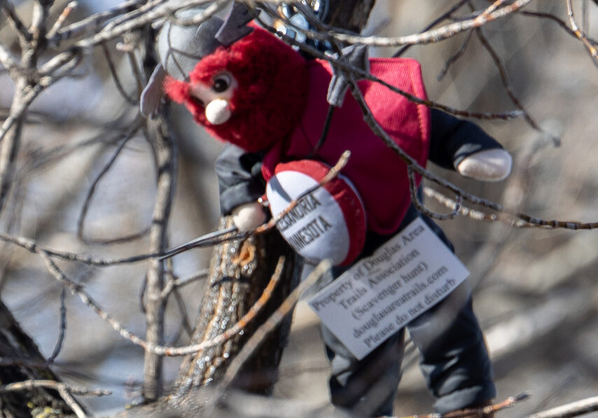 A small plush devil toy in a red outfit, resembling Little Big Ole, hangs from a tree branch holding a miniature football. A tag with printed text is attached, while the background is a tangle of bare branches awaiting your search.