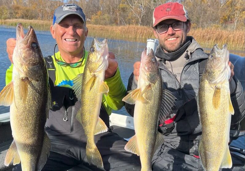 Two men sitting in a boat, each holding up two large walleyes with smiles. They're dressed in outdoor gear with autumn trees and reeds surrounding them under a clear blue sky, proud of their catch using live bait.