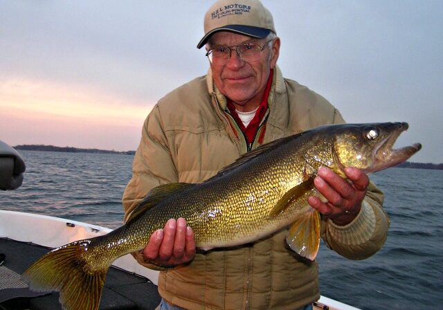 Older man in glasses and a beige jacket stands on a boat, smiling while holding a large fish over the water at sunset, enjoying walleye fishing in Alexandria MN.