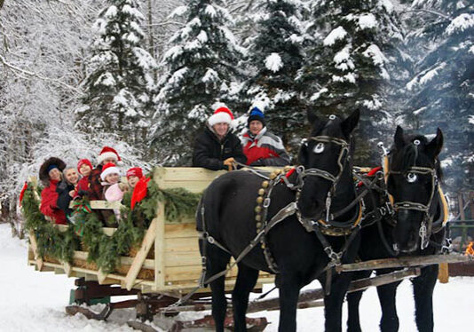 A group of people wearing winter clothes and Santa hats ride in a wooden sleigh decorated with beautiful greenery and plants, pulled by two black horses through a snowy forest with pine trees.