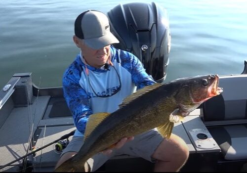 A man in a blue fishing shirt and cap sits in a boat, proudly holding a large walleye with both hands, while calm water shimmers in the background.
