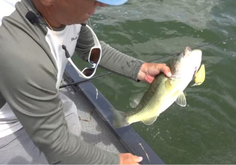 A person on a boat holds a largemouth bass and a fishing rod over water, with sunglasses hanging from their neck—proof that using Bigger Baits can lead to an impressive catch.