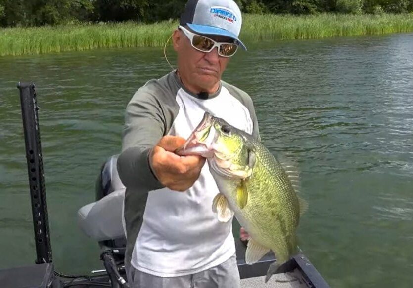 A man wearing sunglasses and a cap holds a large Bass with one hand while standing on a boat in a lake near the Alexandria area, with green reeds and trees visible in the background—perfect for seeking new fishing tips.