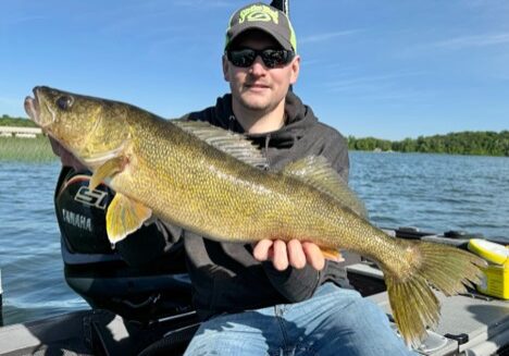 A person wearing sunglasses and a green cap holds a large summer walleye catch on a boat, with blue water and a green tree-lined shore in the background under a clear sky.