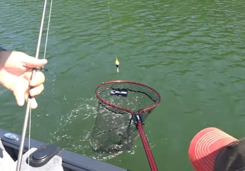 A person in a red cap holds a fishing net above the water next to a boat, while another uses a rod with slip-bobbers, the float dangling just above the water’s surface.