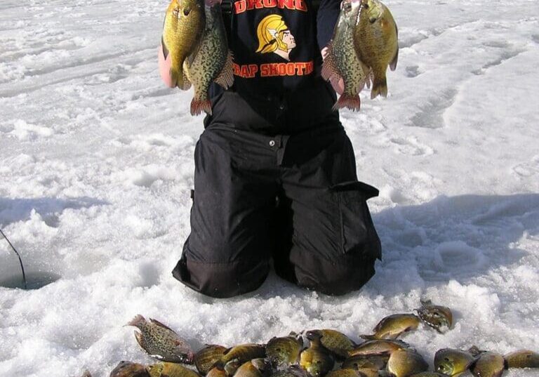 A person kneels on a snowy frozen lake, proudly showing off their catch from ice fishing in Alexandria—two large fish in hand and many more laid out on the ice. Snow-dusted trees fill the background.