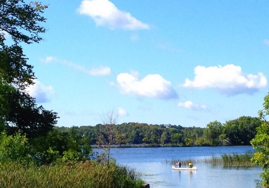 A small canoe with people paddling on a calm lake, surrounded by green trees and reeds showing the beginnings of autumn under a bright blue sky with scattered white clouds.