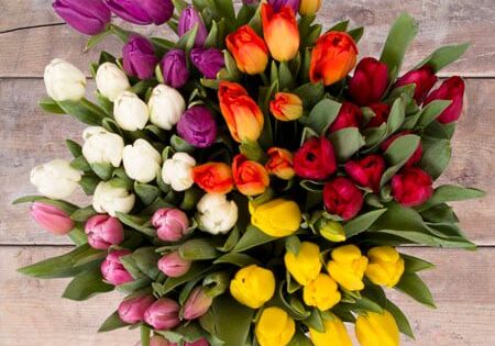 A top view of a bouquet of tulips in various colors—purple, white, red, orange, pink, and yellow—beautifully arranged by Broadway Floral on a wooden surface.
