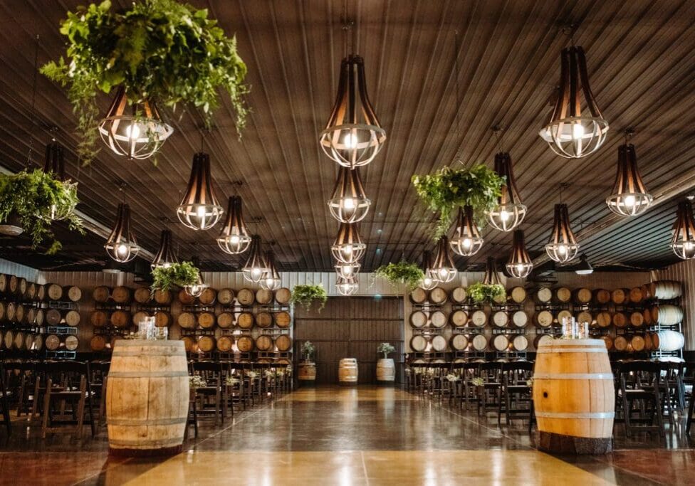 A spacious wine cellar at Bold North Cellars with rows of wooden barrels along the walls, hanging lights, suspended green plants, wooden tables and chairs, and large barrels used as tables in the center aisle.