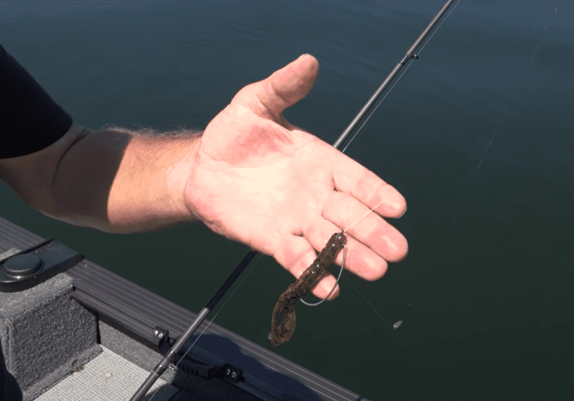 A person holds a fishing rod and displays a green soft plastic lure with a hook in their open hand above the water near the edge of a boat, perfect for fishing the Midwest and trying out new rigs for more bass.