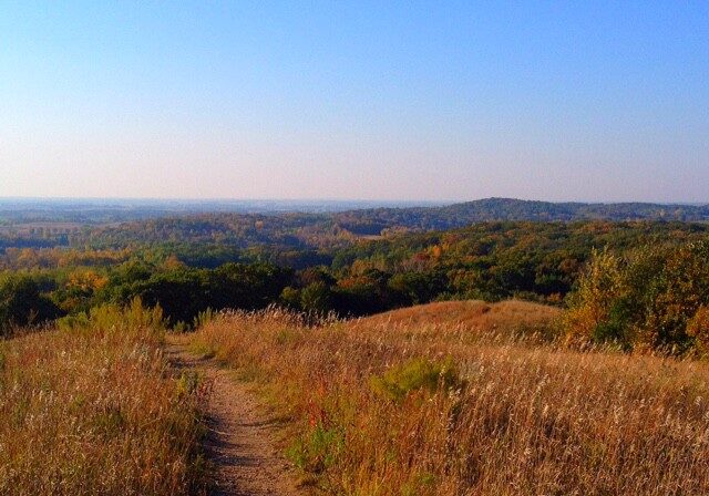 A narrow dirt path winds through tall, golden grasses on a hill at Inspiration Peak, overlooking a vast landscape of green and orange trees under a clear blue sky.