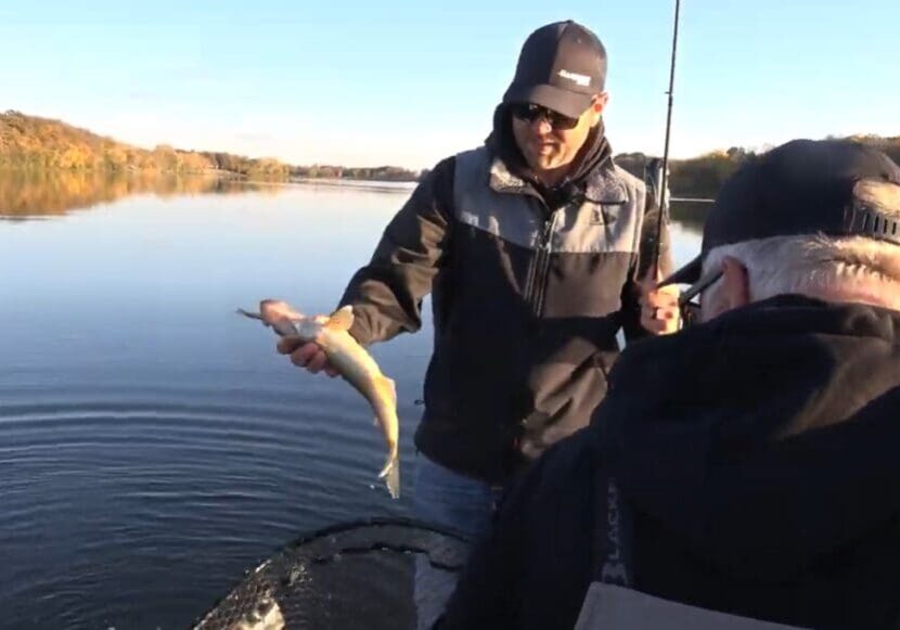 Two people fishing on a calm lake; one person, after catching walleyes on a jig and a minnow, holds up a small fish above a net while the other looks on. Trees with autumn foliage line the shore in the background.