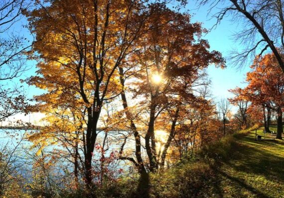 A sunny autumn scene at Lake Brophy Wayside Park features colorful trees by a calm lake. Sunlight filters through orange and yellow leaves, casting shadows on green grass and a gently sloping hill beneath a clear blue sky.