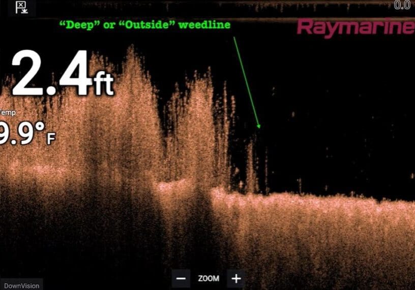 Fish finder sonar screen showing underwater structure at a depth of 12.4 feet and water temperature of 79.9°F, with a labeled weedline area indicated by a green arrow and text—perfect for fishing tips from mike frisch; Raymarine branding appears top right.