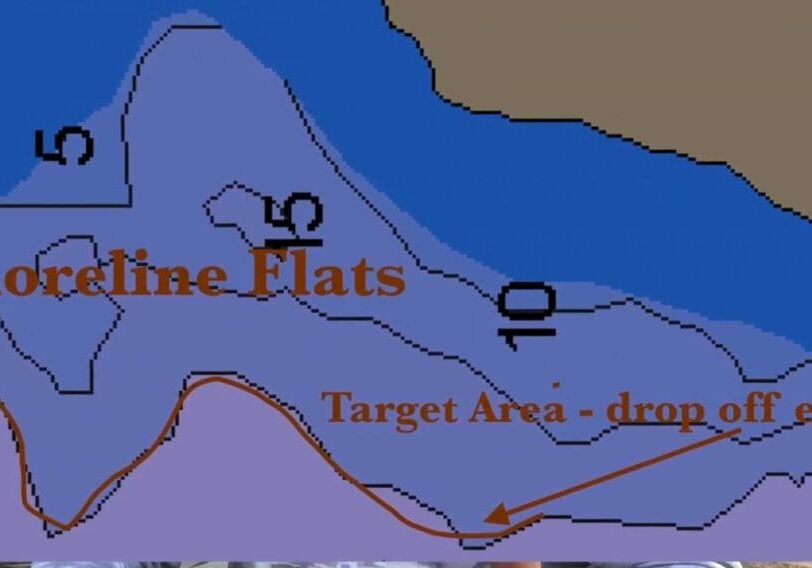 A color-coded map labeled "Shoreline Flats," inspired by Mike Frisch, highlights a water area with target zones along drop-off edges, marked with arrows and different shades of blue and brown to indicate water depth and land.