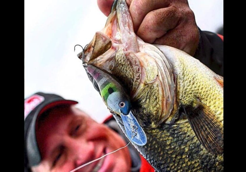A smiling person in a red jacket and cap, like angler Mike Frisch, holds a large fish close to the camera, showing a fishing lure hooked in its mouth.