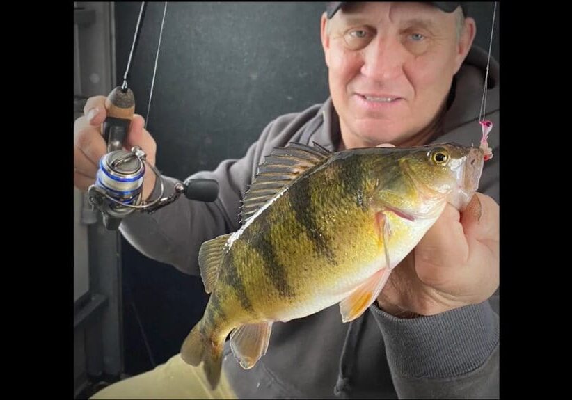 A person in a hoodie and cap holds a fishing rod in one hand and displays a large yellow perch fish in the other, smiling at the camera like Mike Frisch after a successful catch.