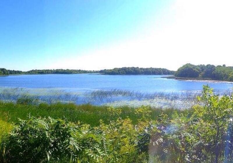 A bright, sunny day at a serene lake along the beautiful Central Lakes Trail, surrounded by green vegetation and trees, with blue water reflecting the clear sky and sunlight streaming in from the upper right corner.